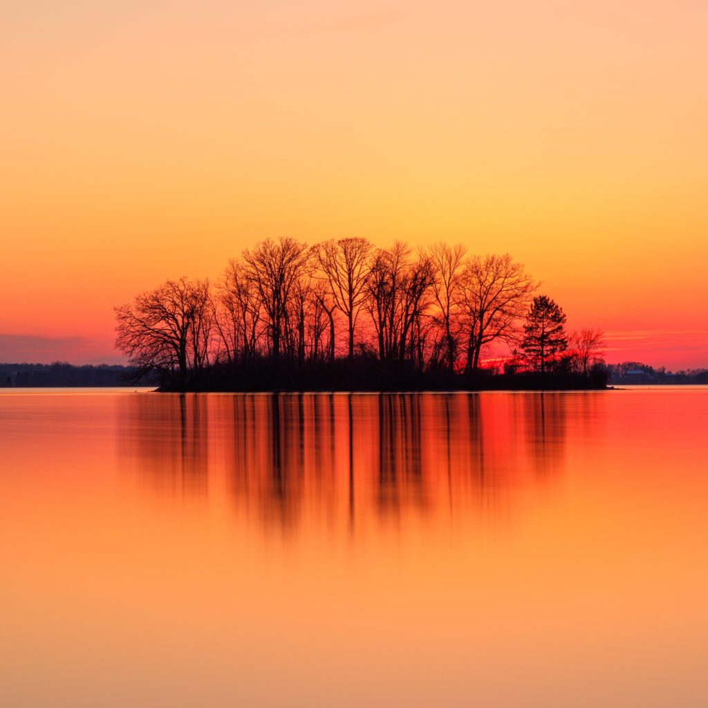 Island of Trees at Sunset