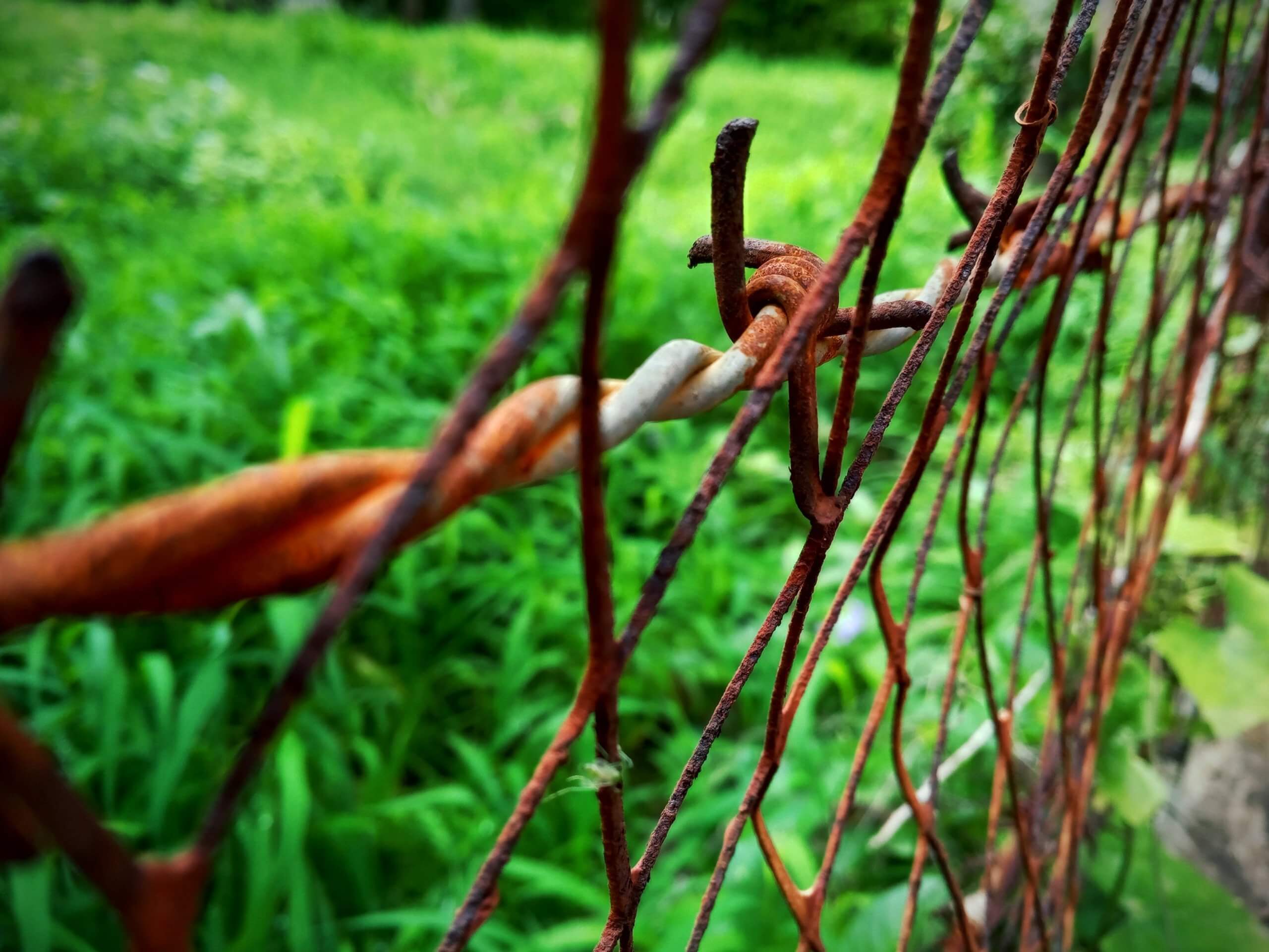 Barbed Wire Fence