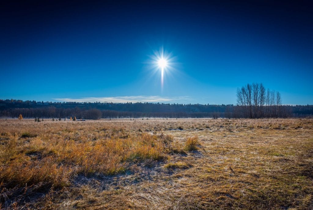 River Valley in Edmonton.