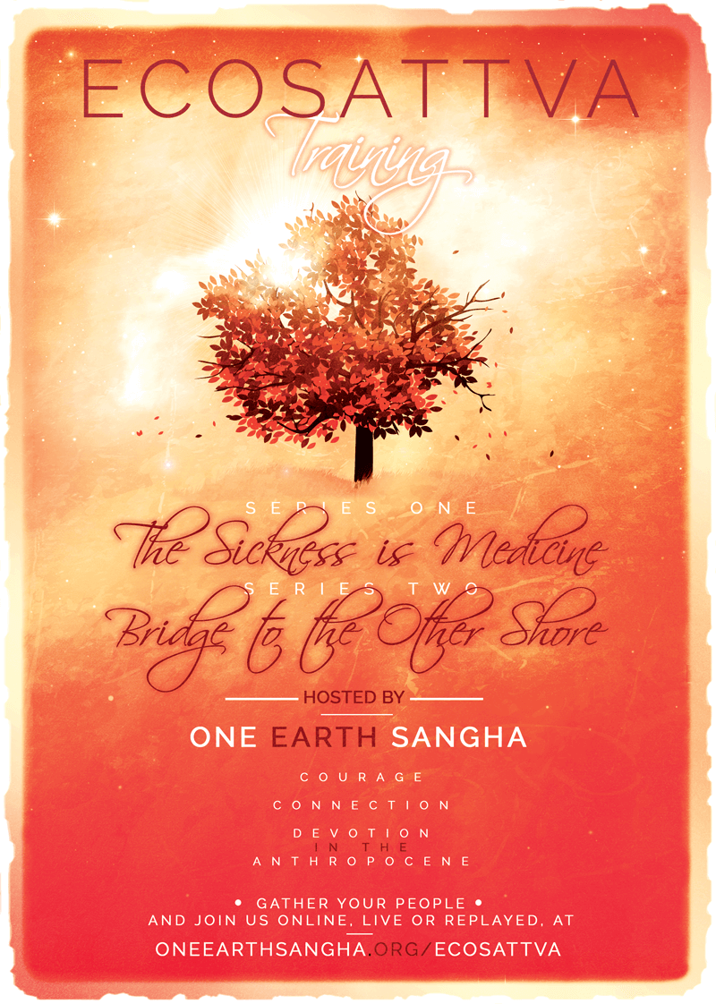 2017 EcoSattva Training