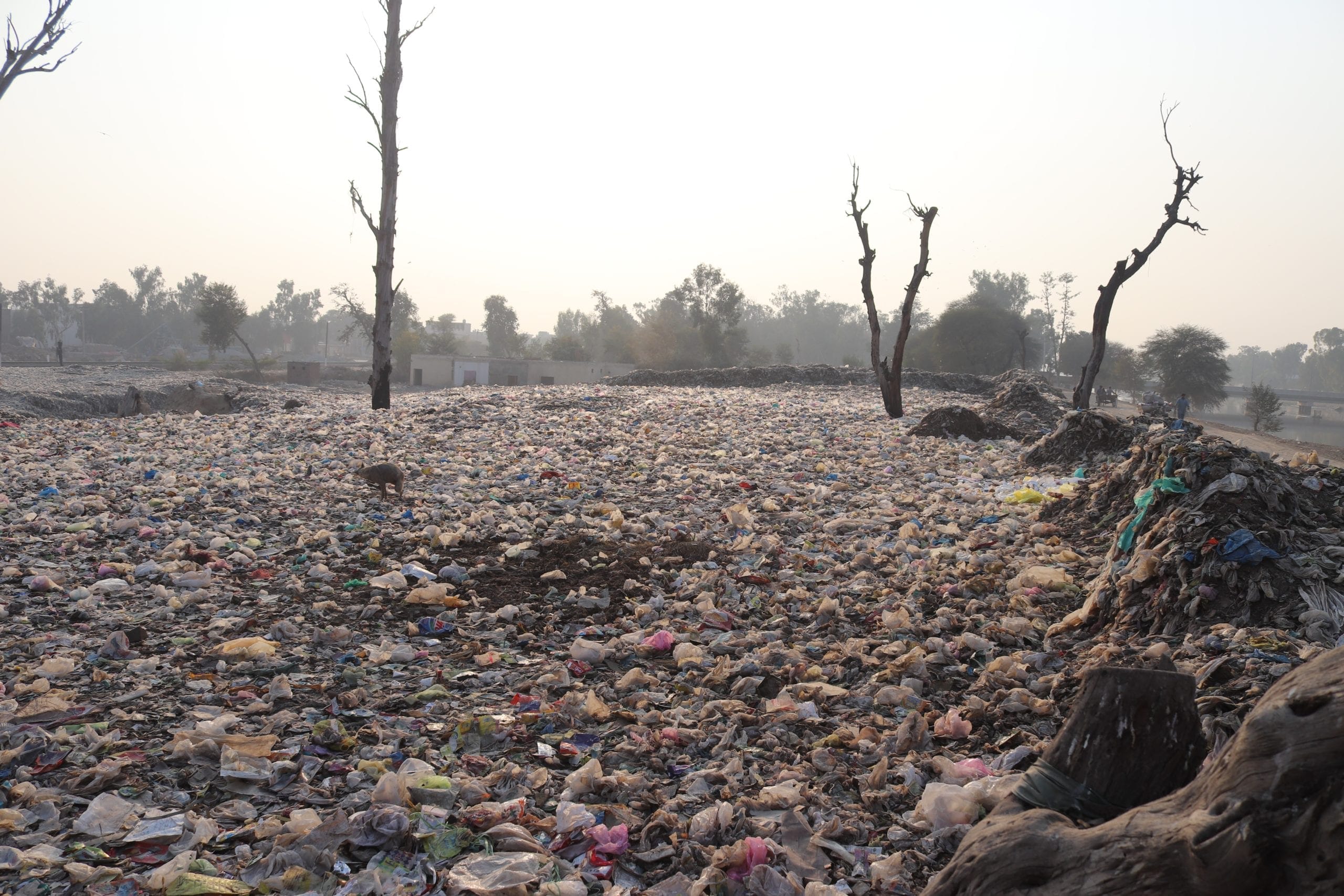 Huge garbage dump with dead trees and houses in background