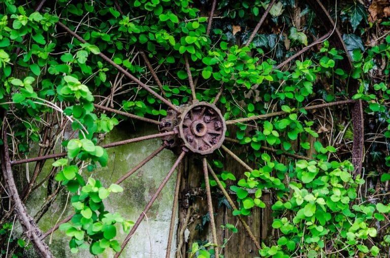 Vintage Wheel