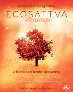 Graphic for the EcoSattva Training 2023-24: A Brave and Tender Reckoning