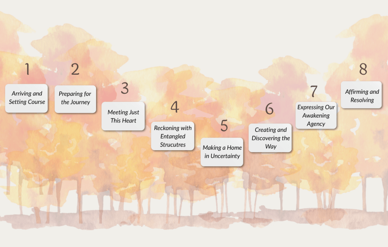 Ecosattva training journey
